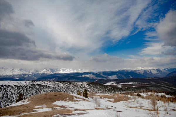 Altai Bergen Landschap Siberië Rusland — Stockfoto