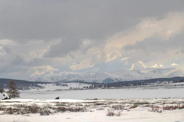 Siberian Απόψεις Altai Ρωσία — Φωτογραφία Αρχείου