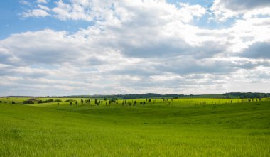 Sibirya yaz manzaraları, inanılmaz manzaralar.