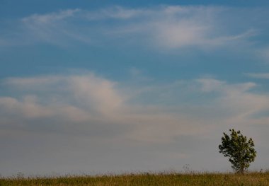 inanılmaz altai dağları manzarası