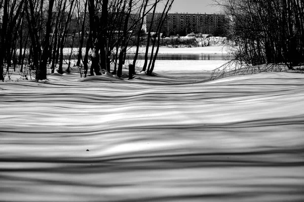 Zwart Wit Landschap — Stockfoto