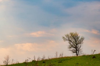 manzara ve mavi gökyüzü