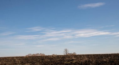 Sahada gün batımı