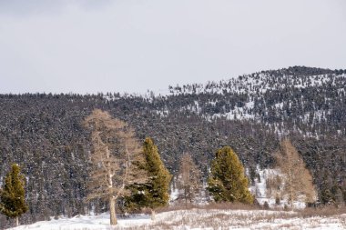 Dağlardaki dağlar, Sibirya, Rusya