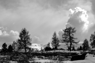 Dağlardaki dağlar, Sibirya. Rusya