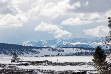 https: / / contributor.stock.adobe.com / en / portföy, Sibirya, Rusya