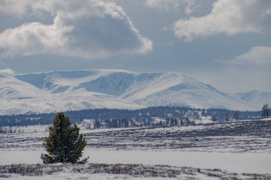 https: / / contributor.stock.adobe.com / en / portföy, Sibirya, Rusya