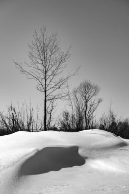 Karla kaplı manzara, Sibirya