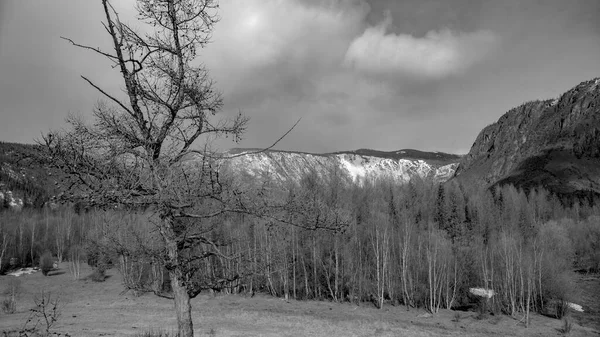 Berge Gebirge Sibirien Russland — Stockfoto