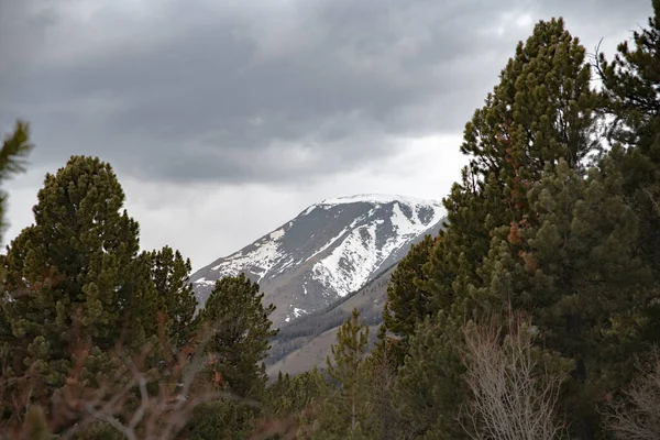 Berge Den Bergen Sibirien Russland — Stockfoto