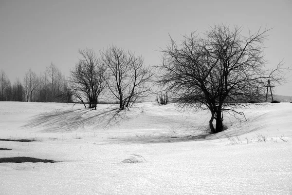 Noir Blanc Photographie Sibérie Russie — Photo