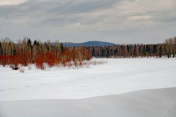 Winter Park — Stockfoto