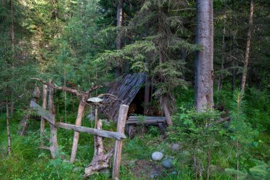 Bulutlu manzara, Sibirya, Rusya