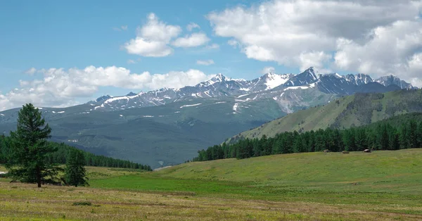 Paesaggio Con Cielo Siberia Russia — Foto Stock