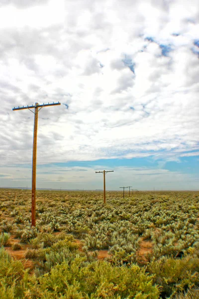 Tiefenaufnahme von Telefonmasten und in die Ferne streckenden Leitungen entlang einer Landschaft aus grünem Gestrüpp — Stockfoto