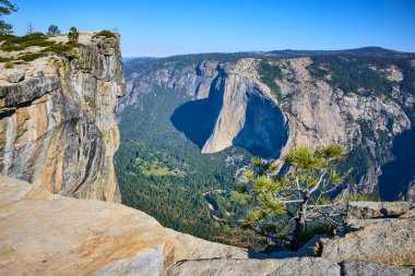 Yosemite Vadisi 'nin yukarısındaki Taft Point' in granit kayalıkları El Capitan ve California 'nın berrak gökyüzünün altında canlı bir çam ağacı ABD' de çarpıcı bir doğal manzara yaratıyor..