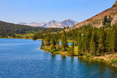 Tioga Gölü 'nün kristal berrak suları Yosemite California' da yoğun bir çam ormanını ve engebeli granit dağları yansıtır..