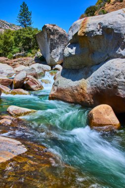Kristal berrak su, Sequoia Ulusal Parkı Kaliforniya 'daki yemyeşil ve engebeli kayalarla çevrili Orta Çatal Kaweah Nehri' ndeki devasa kayaların üzerinden enerjik bir şekilde akar..