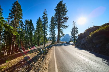 Güneşli bir yol, Yosemite Ulusal Parkı 'ndaki Half Dome manzaralı uzun çam ağaçlarının arasından geçiyor. Açık mavi gökyüzü altında macera ve doğal güzellik hissi yaratıyor..