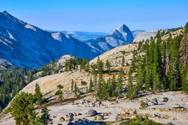 Granit yamaçlar ve yemyeşil çam ormanları, Yosemite Ulusal Parkı 'ndaki Olmsted Point' ten açık mavi gökyüzünün altındaki Half Dome 'a uzaktır..