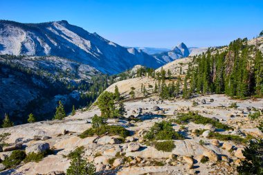 Granit oluşumlar ve çam ağaçları, Yosemite Ulusal Parkı 'ndaki Olmsted Point' in engebeli manzarasını simgesel Yarım Kubbe 'nin California' nın berrak gökyüzünün altında görkemli bir şekilde yükselmesiyle noktalıyor..