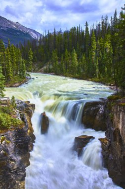 Jasper Canada 'daki Sunwapta Şelalesi' nde çam ormanı ve dağın arka planıyla çağlayan sular dramatik ve ferahlatıcı bir vahşi doğa manzarası yaratıyor..