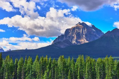 Banff Canada 'da verimli bir çam ormanının üzerinde yükselen karlı bir dağ dramatik bulutlar ve canlı mavi gökyüzü ilham verici ve sakin bir yaban hayatı yaratıyor..