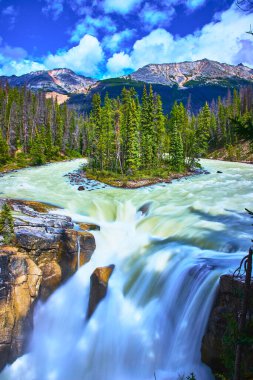 Jasper Kanada 'daki Sunwapta Şelalesi' nin akan suları, arka planda mavi gökyüzünün altında yükselen dramatik dağlarla dolu yemyeşil bir orman adasını aşar..