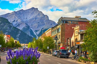 Kanada 'daki Banff Kasabası' nın canlı bir manzarası. Canlı mor çiçekler ana caddeyi dolduruyor ve parlak bir yaz gökyüzü altında görkemli bir dağ..
