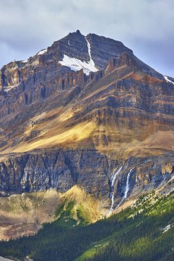 Güneş ışığı, Banff ve Peyto Gölü yakınlarındaki Kanada Kayalıkları 'ndaki yoğun yeşil bir ormanda şelalenin çağlayarak yükseldiği engebeli bir dağ zirvesini vurguluyor..