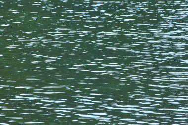 Hafif güneş ışığı, Jasper Kanada 'daki Moose Gölü' nün dalgalanan sularında dans eder gölün dingin güzelliğini yakalar ve barışçıl bir doğal doku yaratır..