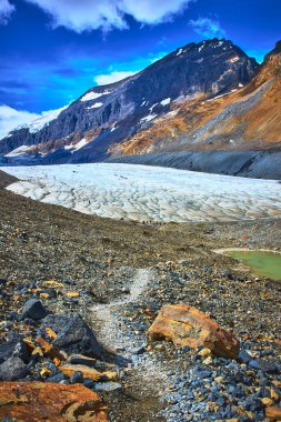 Kayalardan oluşan engebeli bir patika Jasper Kanada 'daki Athabasca Buzulu' na doğru uzanır dramatik bir dağ ve canlı mavi gökyüzü tarafından çerçevelenir ilham verici bir macera ve doğal harikalar manzarası yaratır..