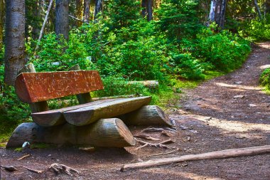 Banff Canada 'daki Louise Gölü' nün yakınlarındaki sık yeşillikler ve uzun ağaçlarla çevrili gölgeli bir patikanın yanında oturan ahşap bir bank yürüyüşçülerin dinlenmesi ve eğlenmesi için huzurlu bir yer oluşturuyor.