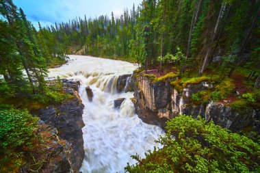 Jasper Kanada 'daki Sunwapta Şelalesi' nden geçen güçlü su çağlayanı canlı yeşil orman ve kayalık kayalıkların çerçevelediği bu ikonik şelalenin ham enerjisini ve doğal güzelliğini yakalıyor..