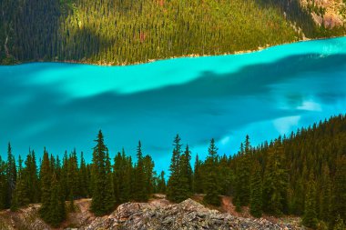 Peyto Gölü 'nün parlak turkuvaz suyu, Banff Ulusal Parkı' ndaki yoğun çam ormanı ve kayalık araziyle tezat oluşturuyor. Kanada, el değmemiş göl suyu ve vahşi doğanın çarpıcı manzarasını sunuyor..