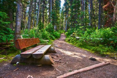 Banff Canada 'da Louise Gölü yakınlarında sarmal bir orman patikasının yanında uzanan kırsal bir bank dinlenme ve doğa ile bağlantı anlarını davet ediyor..