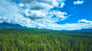 Yoğun mavi gökyüzünün altında, Wyoming 'deki dramatik bulutların ve uzak dağların altında doğal güzelliği ve huzuru yakaladığı yoğun ve yeşil ormanın havadan görünüşü..
