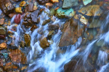Buzul Montana 'daki Piegan Geçidi' nin yakınlarındaki bir dağ nehrindeki parlak taşların üzerinden akan temiz su doğal güzelliğin ve akan enerjinin canlandırıcı bir görüntüsünü oluşturuyor..