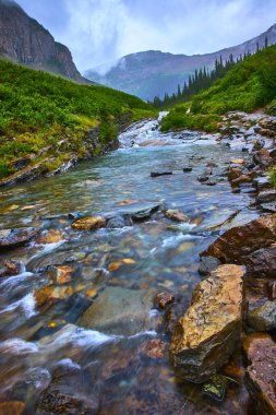 Kristal berrak nehir canlı yeşil taşların üzerinden akar dağ zirveleri ve Piegan Geçidi yakınlarındaki Buzul Montana 'daki orman yamaçları huzurlu ve vahşi bir manzara yaratır..