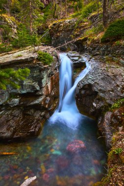 Buzul Ulusal Parkı Montana 'daki Sunrift Vadisi' nden canlı bir şelale akar. Temiz su nehri kayaları ve yemyeşil orman, el değmemiş doğal bir güzellik hissi yaratır..