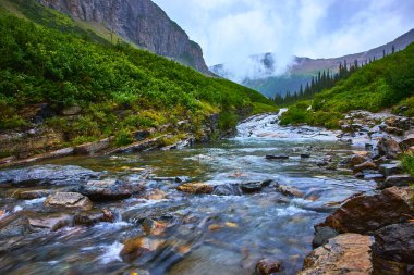 Canlı bir nehir, yemyeşil bitki örtüsü ve Montana Buzul Ulusal Parkı 'nda yükselen dağlar tarafından çerçevelenmiş kayalıkların üzerinden akar ve yeni ve sakin bir vahşi doğa manzarası yaratır..