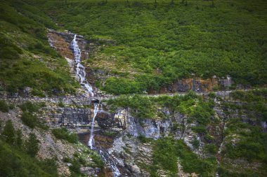 Şelale engebeli kayalıklardan aşağı yuvarlanıyor. Buzul Ulusal Parkı 'ndaki Güneş Yolu' na gidiyor. Montana 'nın çevresi canlı yaz yeşillikleri ve dramatik kaya oluşumlarıyla çevrili..