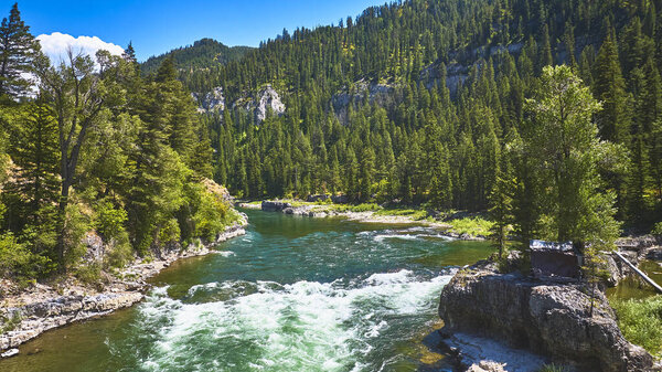 Aerial view of a rushing river winding through a dense green forest and rocky cliffs in Wyoming United States under a bright summer sky.