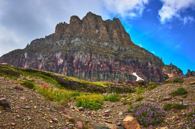Rengarenk kır çiçeklerinin ve kayalık arazinin üzerinde yükselen yüksek bir dağ Buzul Ulusal Parkı Montana 'da parlak mavi bir gökyüzü altında Saklı Göl Yolu boyunca ilham verici bir manzara yaratır..