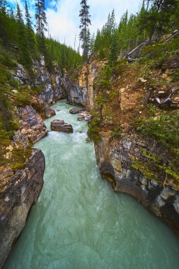 Canlı bir nehir Kootenay Ulusal Parkı 'nın göbeğindeki kayalık Mermer Kanyon' dan akıyor. Temiz su kanyonu duvarları ve yemyeşil ormanlarıyla çarpıcı bir doğal manzara yaratıyor..