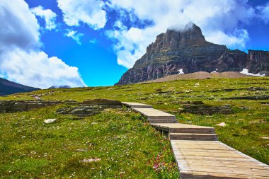 Manzaralı bir sahil yolu, Buzul Ulusal Parkı Montana 'daki dramatik bir dağın altındaki kır çiçeklerinin arasından süzülüyor. Parlak gökyüzü ve yaz ışığı macera ruhunu yansıtıyor..