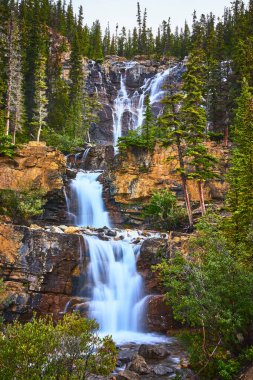 Jasper Kanada 'daki Tangle Şelaleleri' nin kayalık katmanlarında akan sular yoğun ormanlarla çevrelenir ve bu ikonik şelalenin saf enerji ve doğal güzelliğini yakalar..