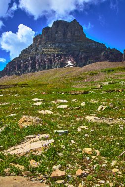 Göz alıcı bir dağ, Buzul Ulusal Parkı 'ndaki Gizli Göl Patikası boyunca yemyeşil bir çayırın üzerinde yükseliyor. Montana, Birleşik Devletler' in engebeli doğal güzelliğini ve yaz havasını yakalıyor.