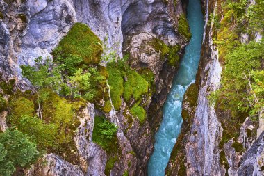 Kanada 'nın Kootenay bölgesindeki Marble Kanyonu' ndan geçen canlı bir nehir, yosun kaplı kayalar ve yemyeşil bitki örtüsüyle çevrelenerek dramatik ve vahşi bir doğal manzara yaratır..