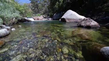 Kaliforniya 'daki Orta Çatal Kaweah Nehri' nde gün ışığı parıldıyor. Temiz su renkli taşların ve kayaların üzerinden akıyor. Yosemite 'nin yemyeşil yaprakları sakin ve durgun bir çekimde..